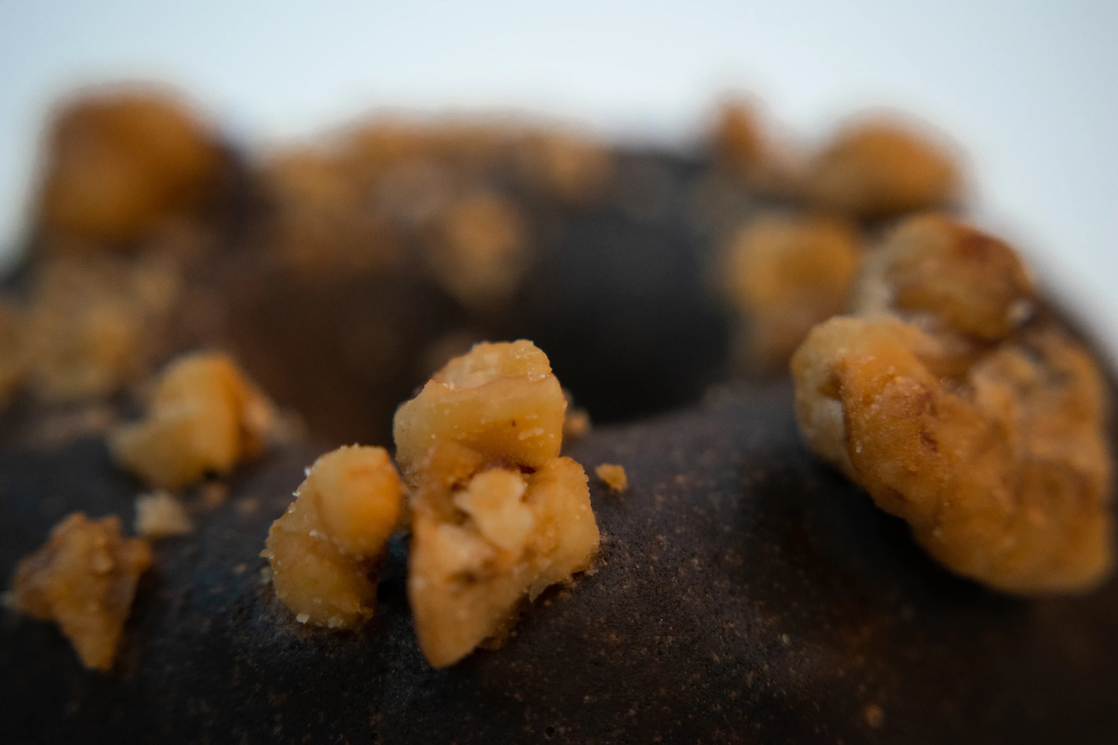 A close-up photo of Rotten Apples Canna Co.'s Chocolate Covered Bourbon Donut.