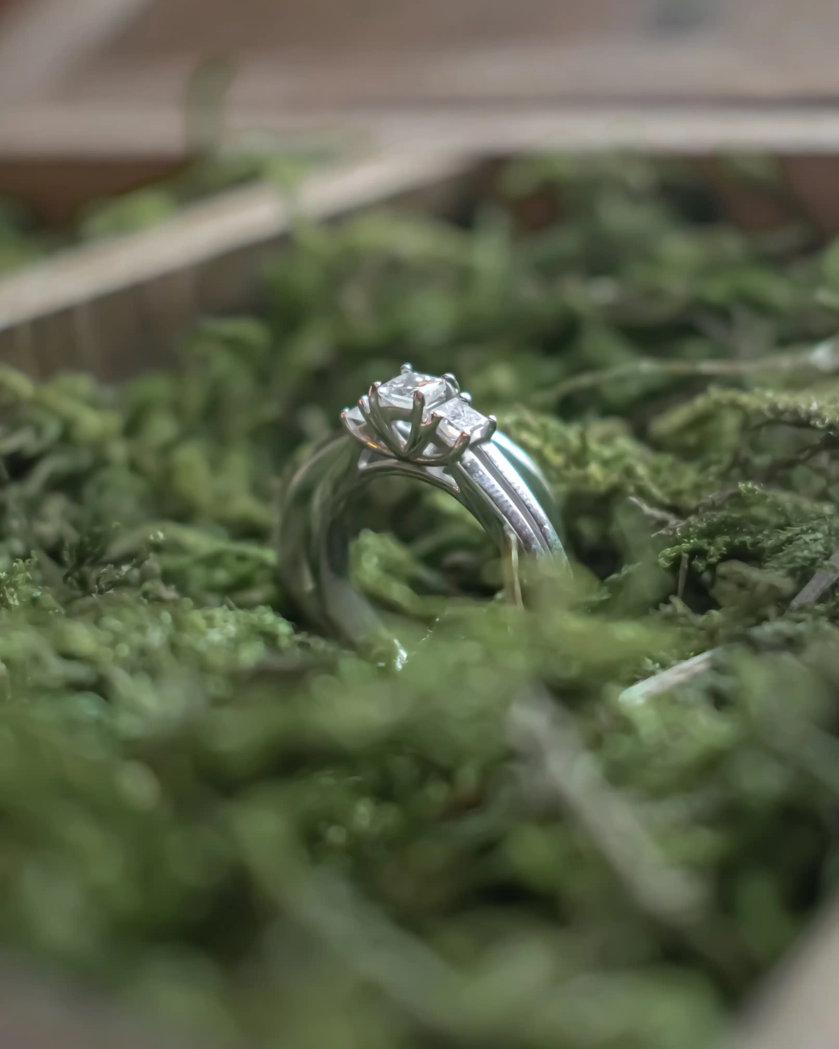 A close-up shot of the bride's ring surrounded by green foliage.