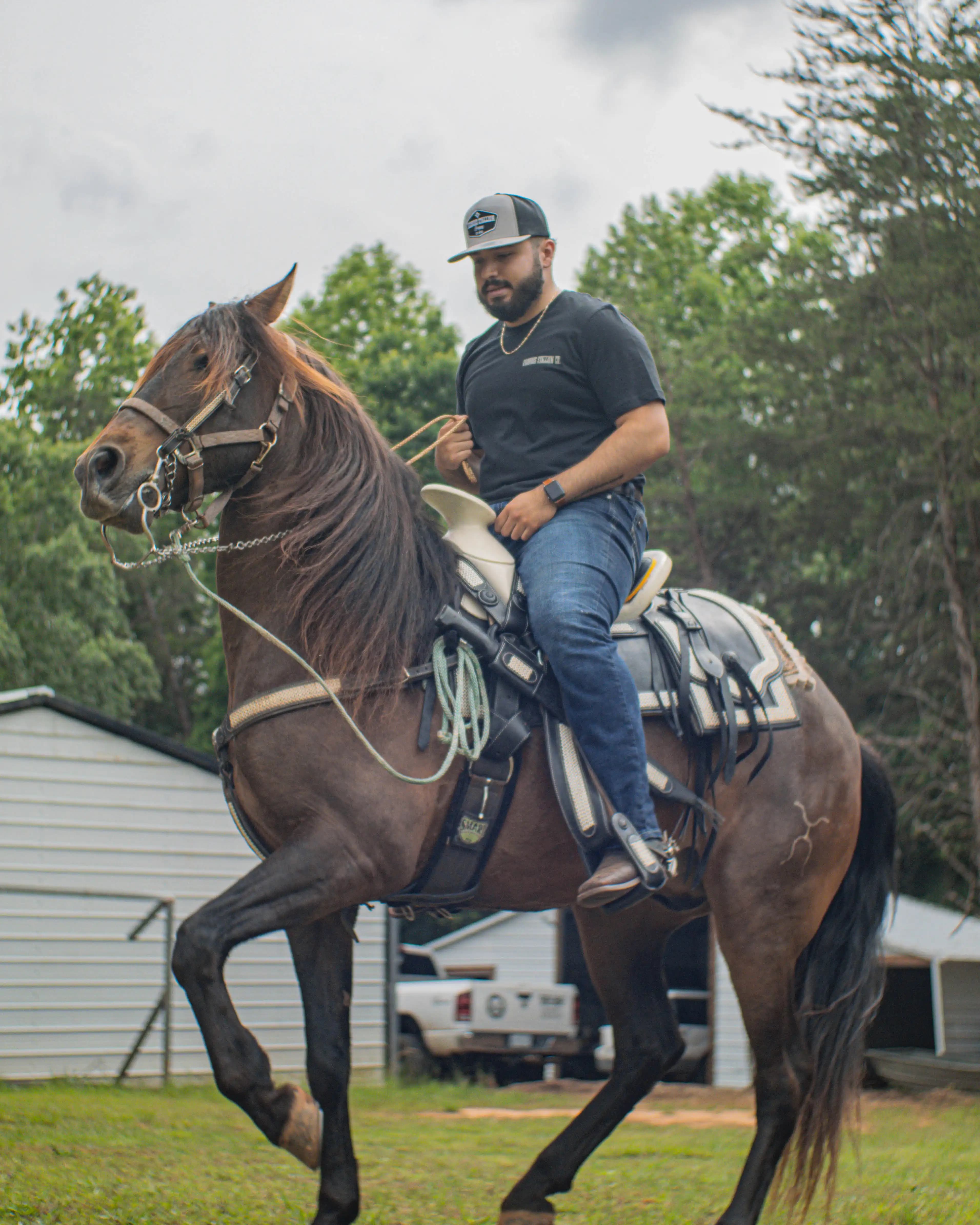 A man on a horse wearing the Vigorous Stallion merch making a horse trot.