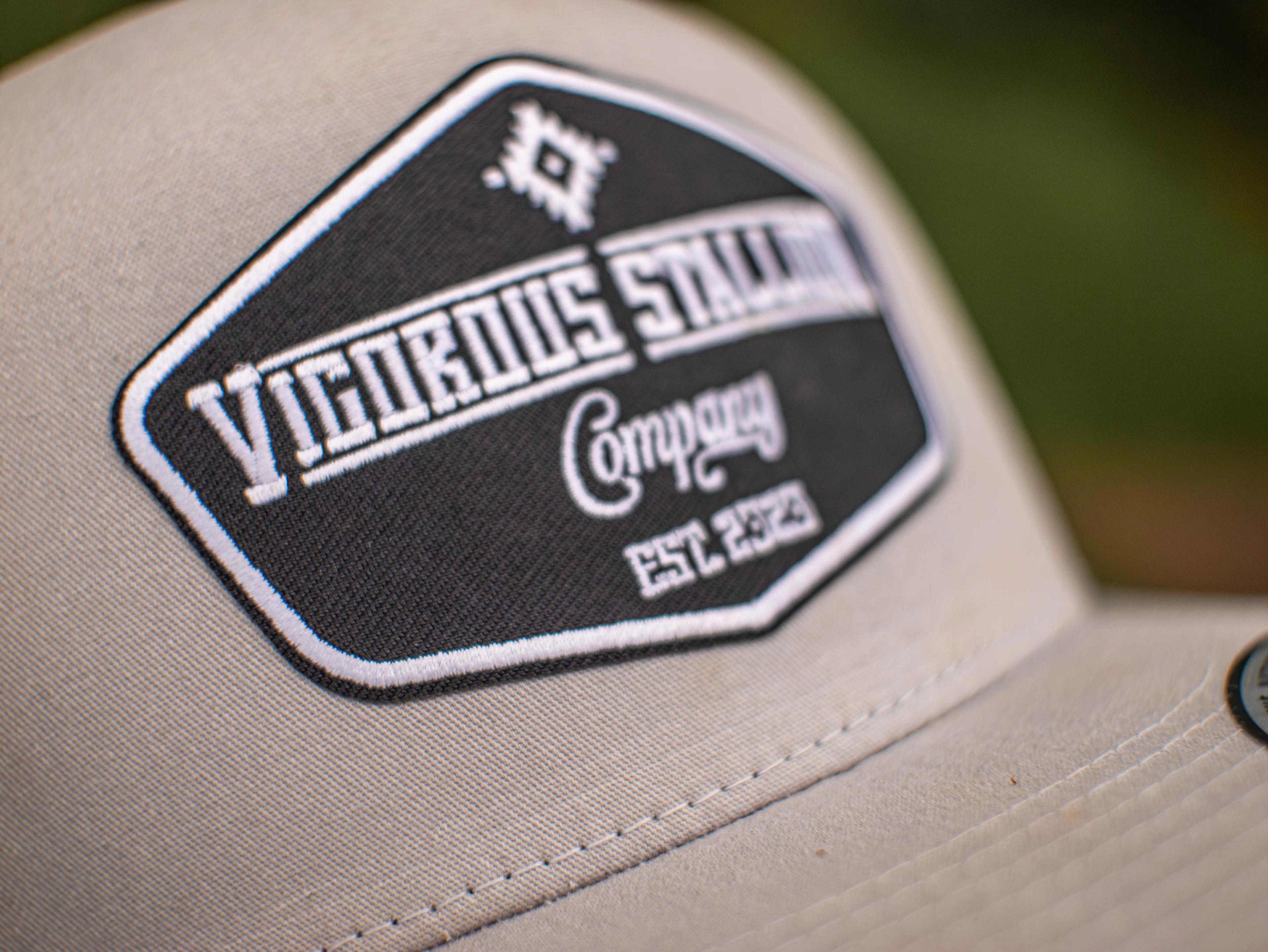 Close-up photograph of the Gray Classic snapback hat.