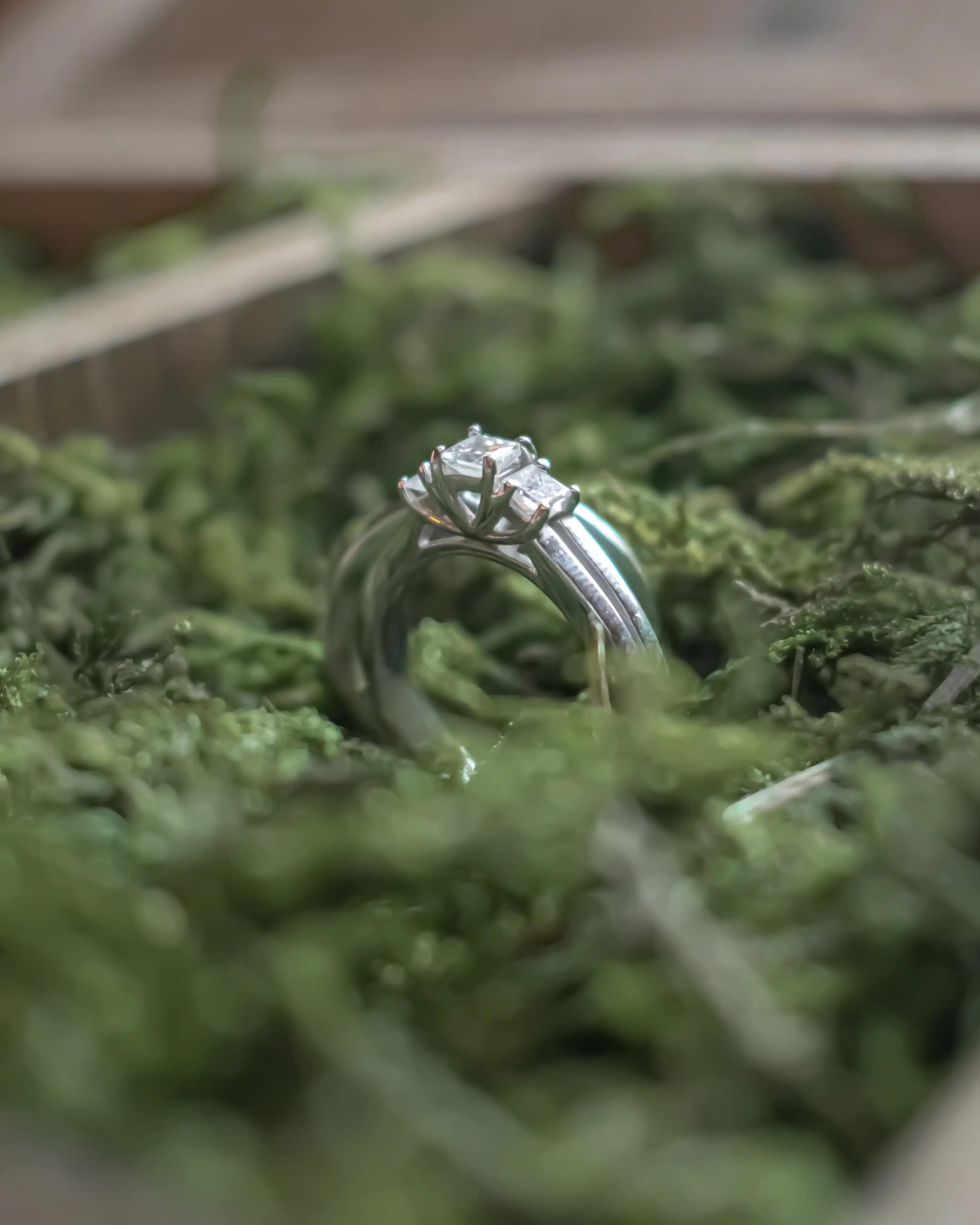 A close-up shot of the bride's ring surrounded by green foliage.
