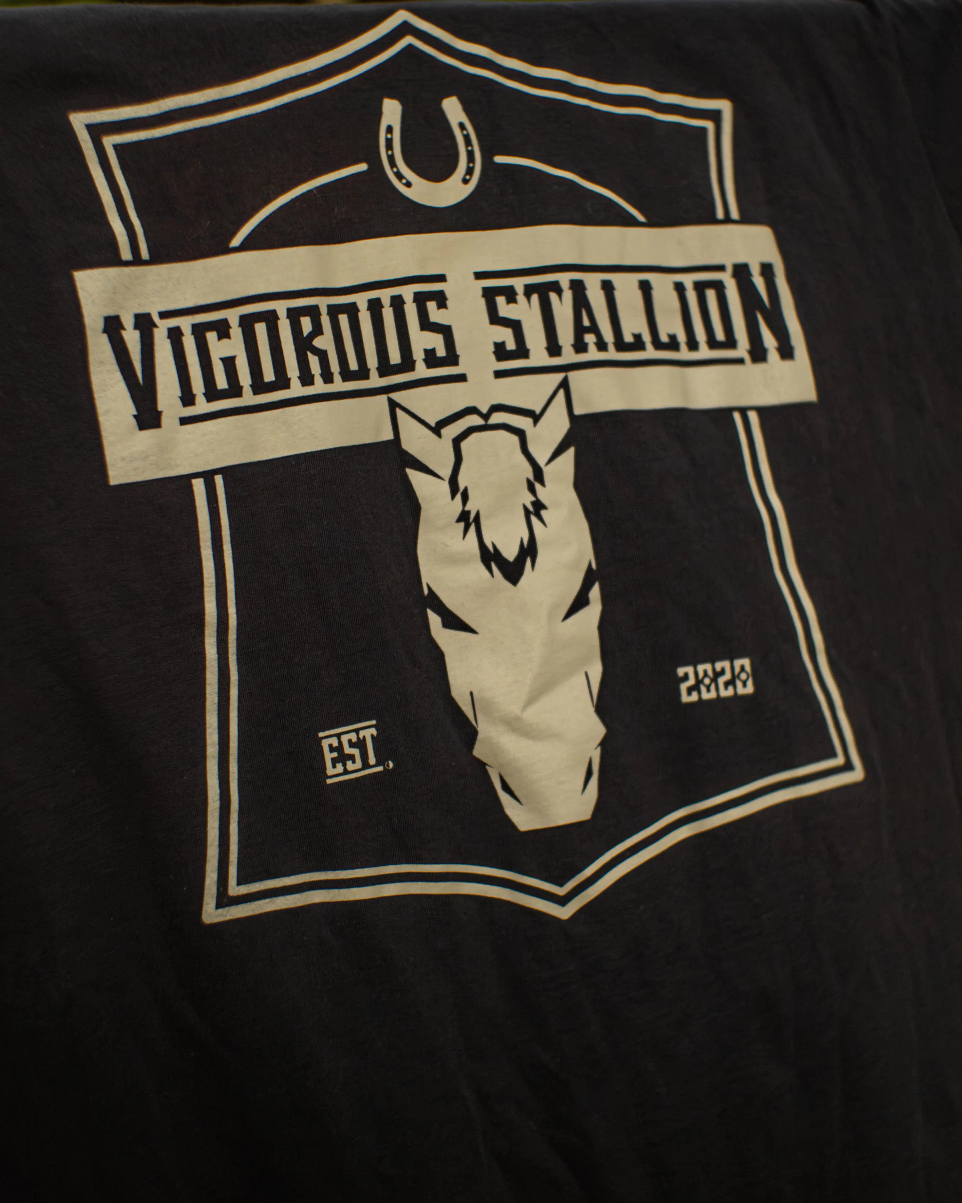 The Black Stallion shirt draped over a wood fence showing the back of the shirt.